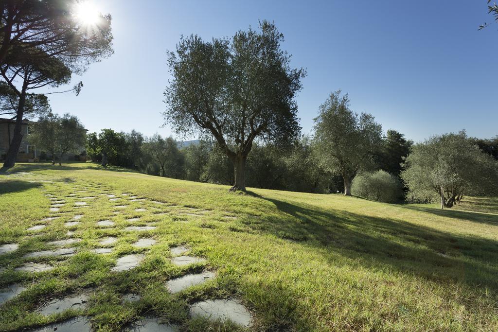 Hotel Casale Degli Ulivi Rapolano Terme Exteriér fotografie