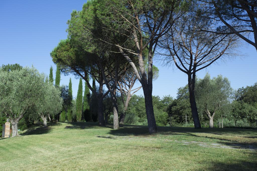Hotel Casale Degli Ulivi Rapolano Terme Exteriér fotografie