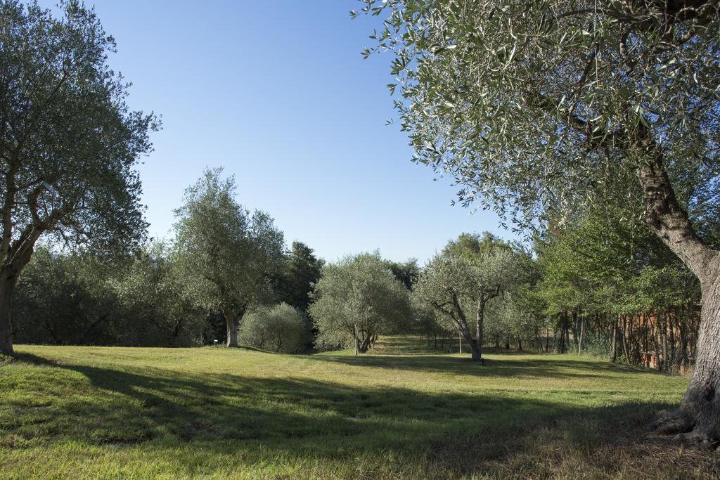 Hotel Casale Degli Ulivi Rapolano Terme Exteriér fotografie
