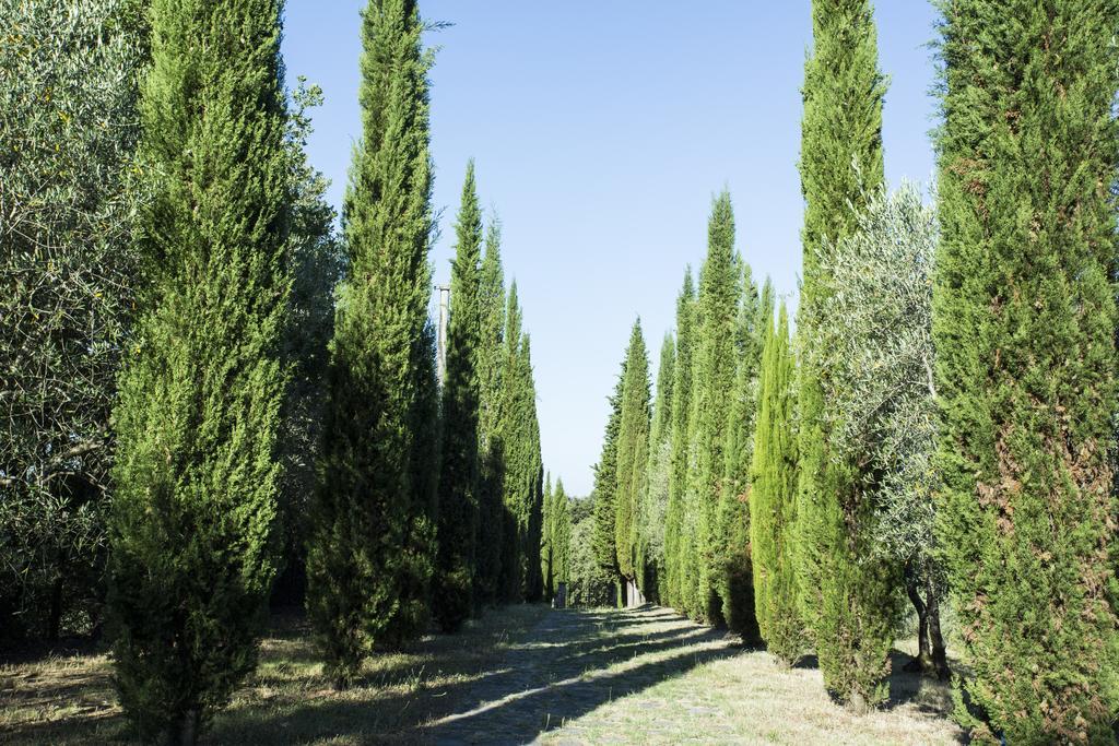 Hotel Casale Degli Ulivi Rapolano Terme Exteriér fotografie