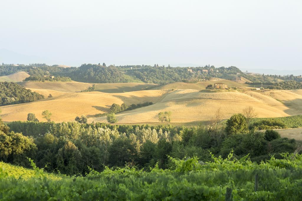 Hotel Casale Degli Ulivi Rapolano Terme Exteriér fotografie