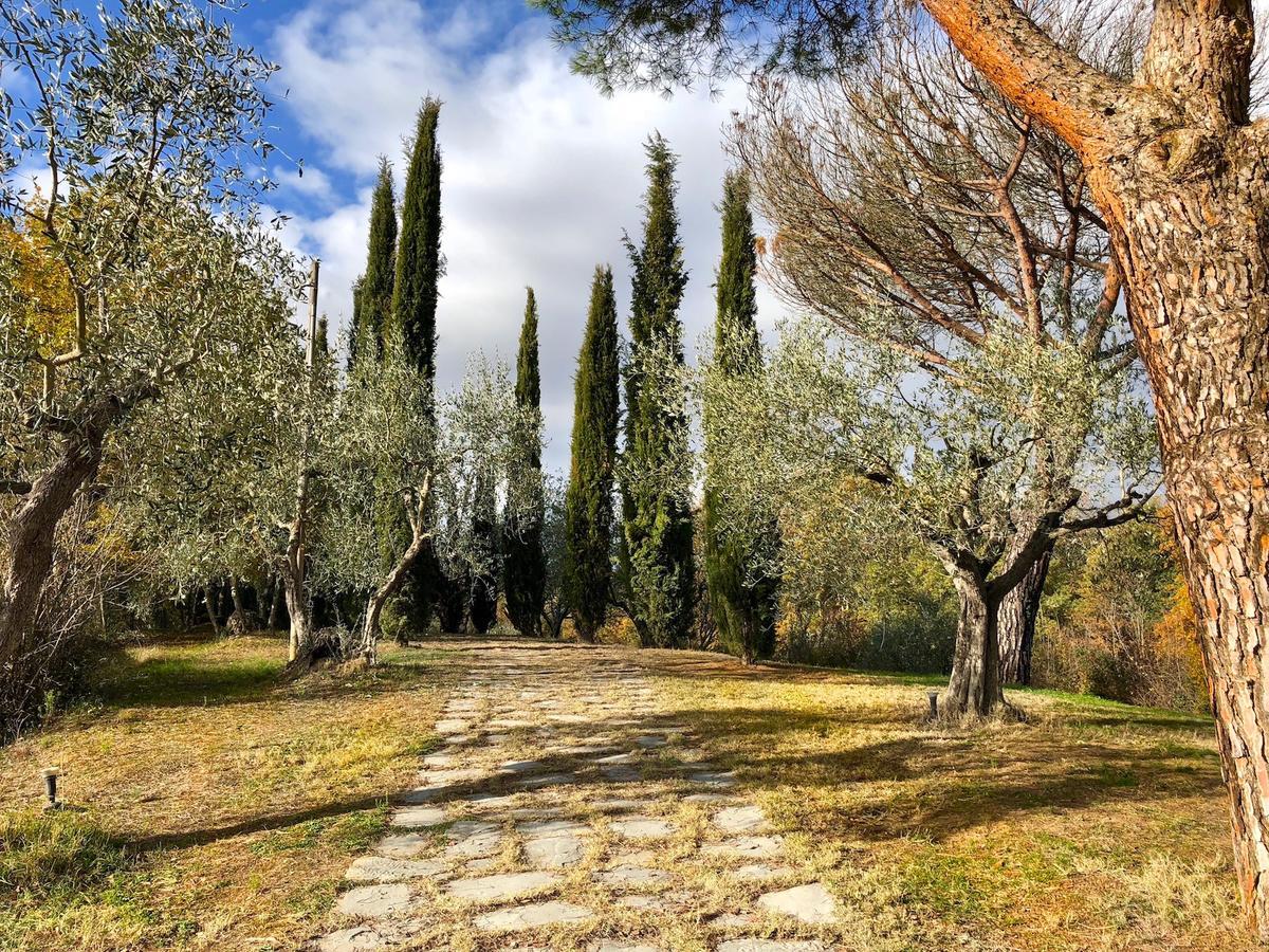 Hotel Casale Degli Ulivi Rapolano Terme Exteriér fotografie